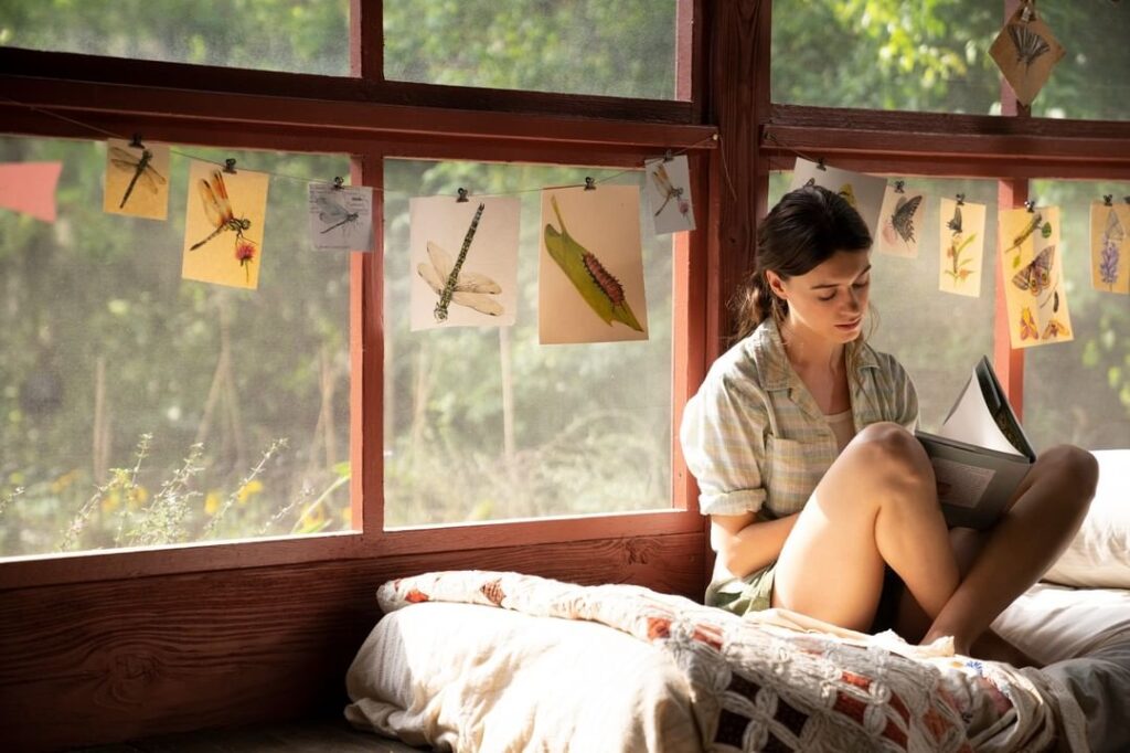 Review Where The Crawdads Sing: Balutan Cinta dan Misteri yang Manis