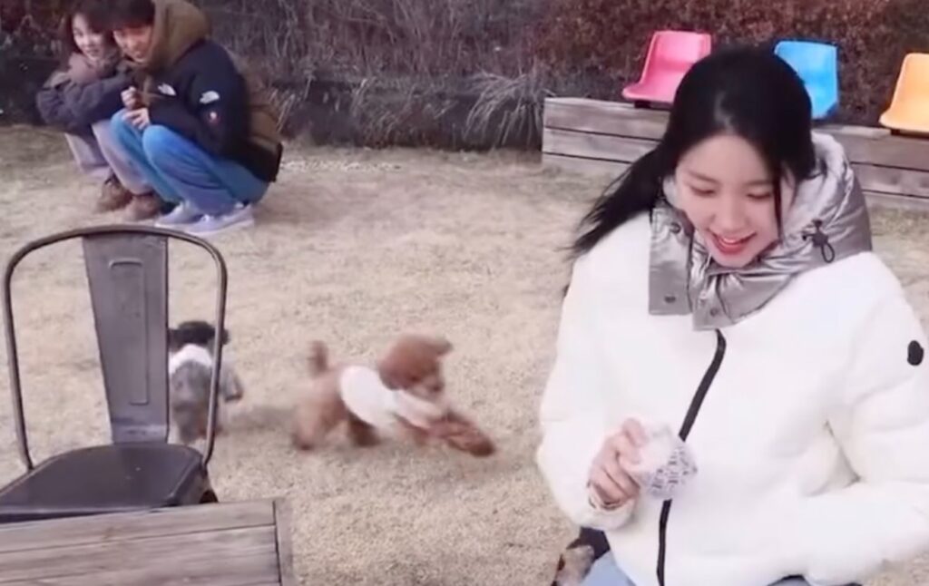 Sung Hae Eun Transit Love 2 Hapus Video YouTube Pertamanya, Kenapa?